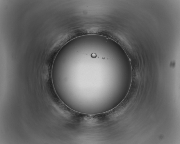 X0000091220311200708161702