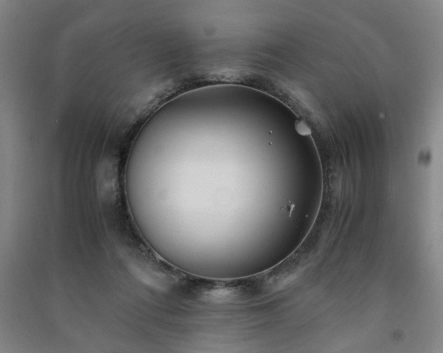 X0000091220312200708161702