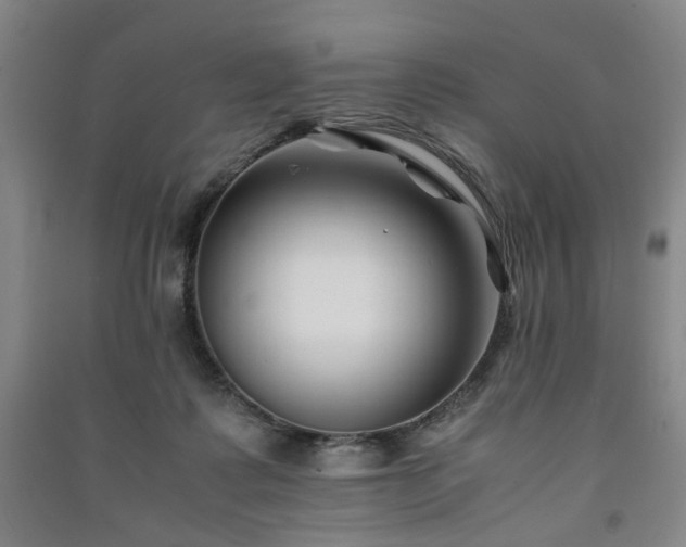 X0000091220315200708161702