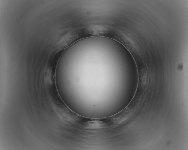 X0000091220316200708161702