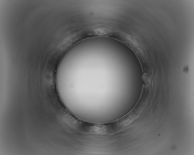 X0000091220317200708161702