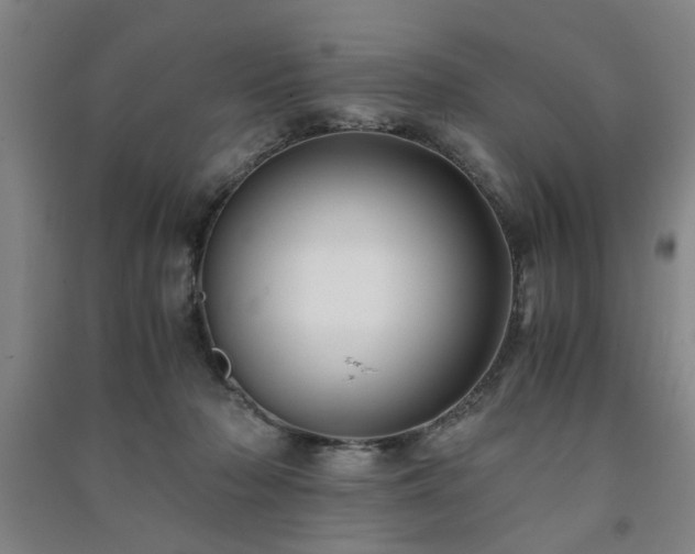 X0000091220318200708161701