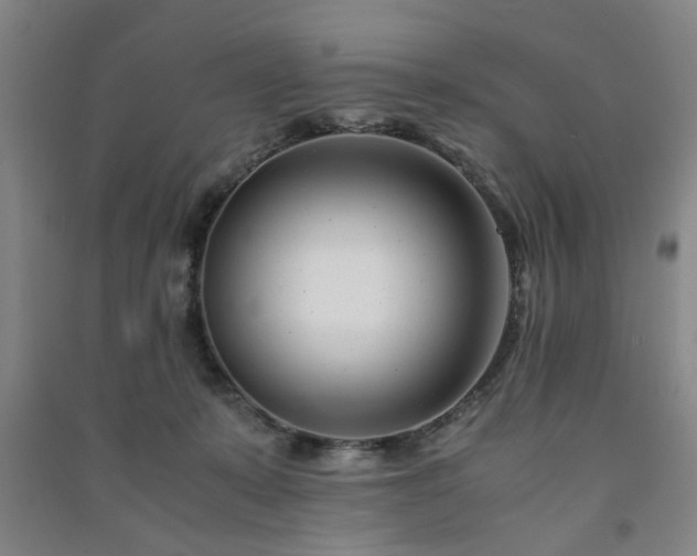 X0000091220319200708161701