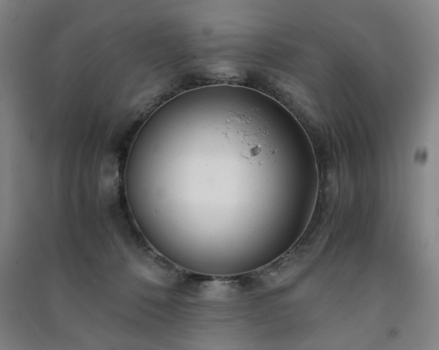 X0000091220320200708161701