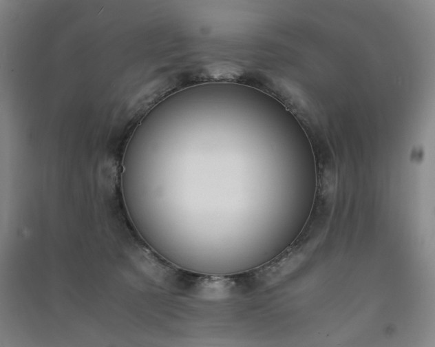 X0000091220321200708161701