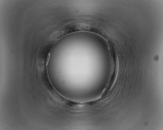 X0000091220323200708161701