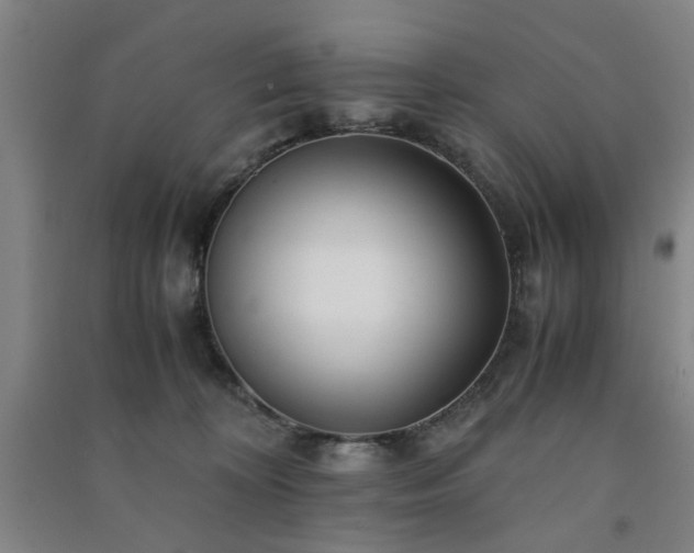 X0000091220324200708161701