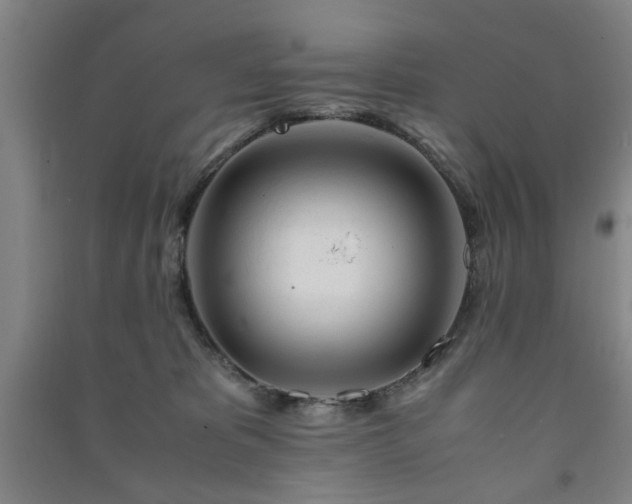 X0000091220325200708161701