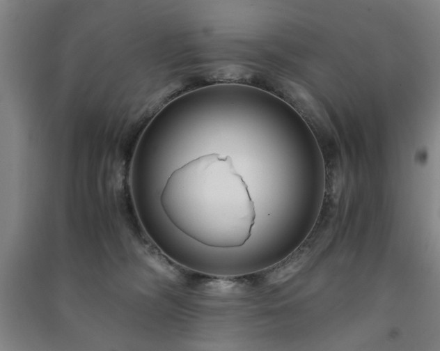 X0000091220326200708161701