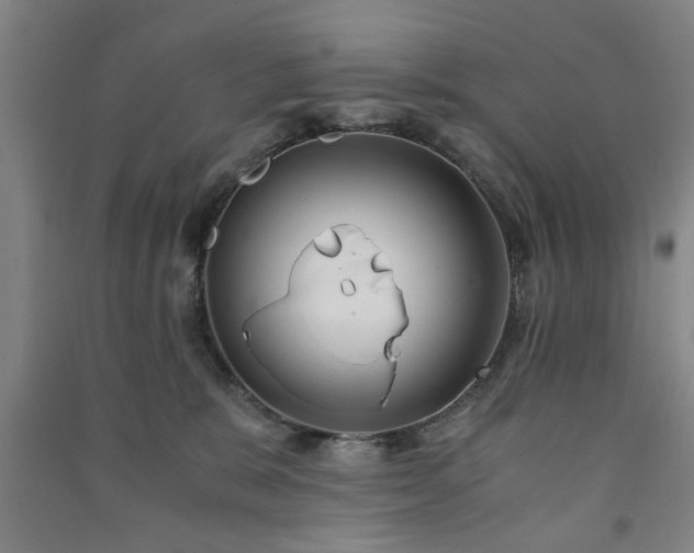 X0000091220327200708161701