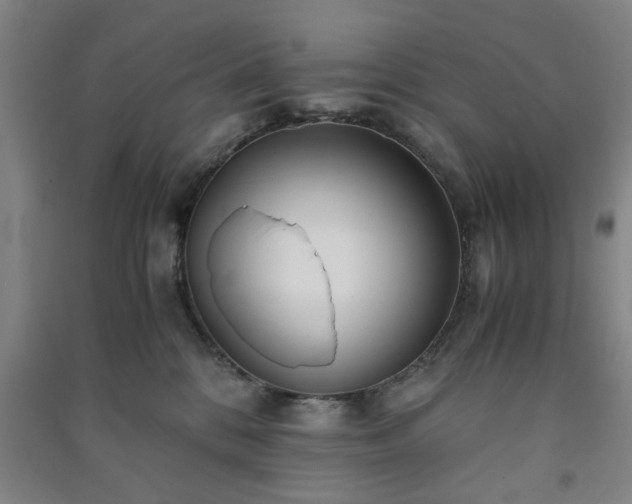 X0000091220328200708161701