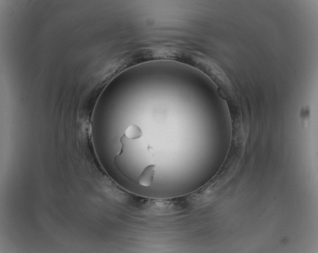 X0000091220329200708161701