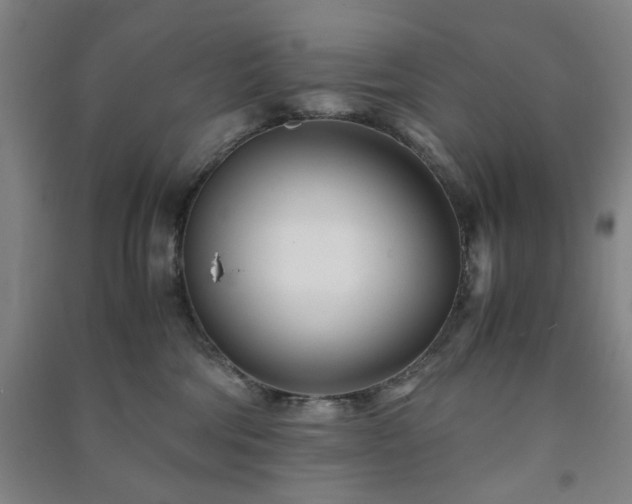 X0000091220330200708161701