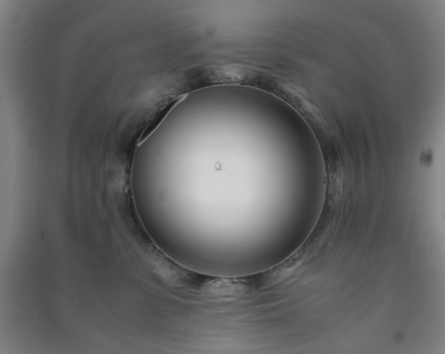 X0000091220331200708161701