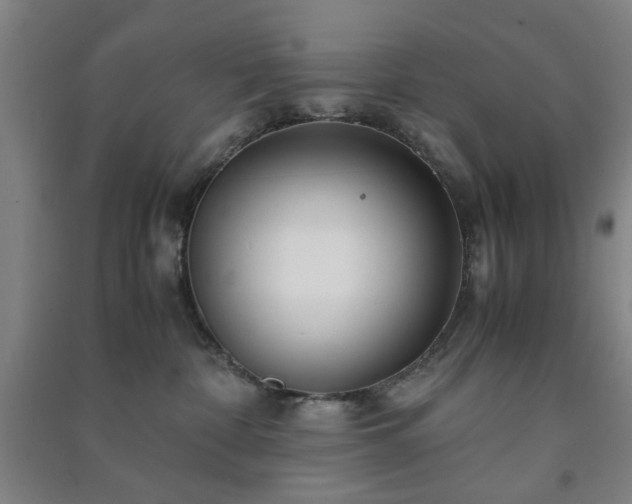 X0000091220332200708161701