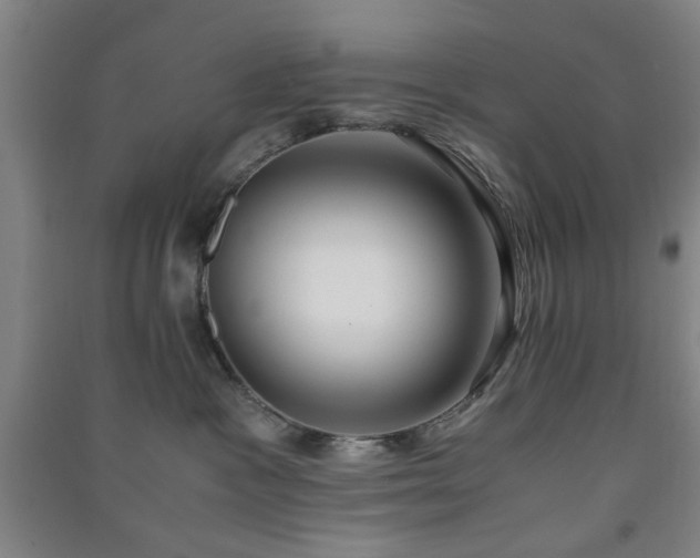 X0000091220333200708161701