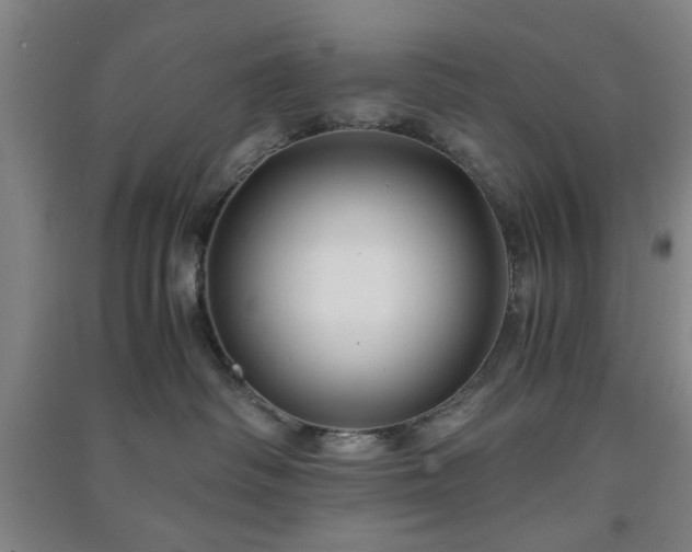 X0000091220334200708161701