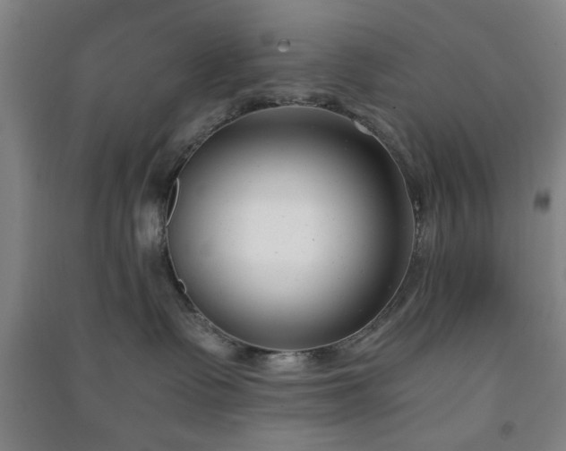 X0000091220335200708161701