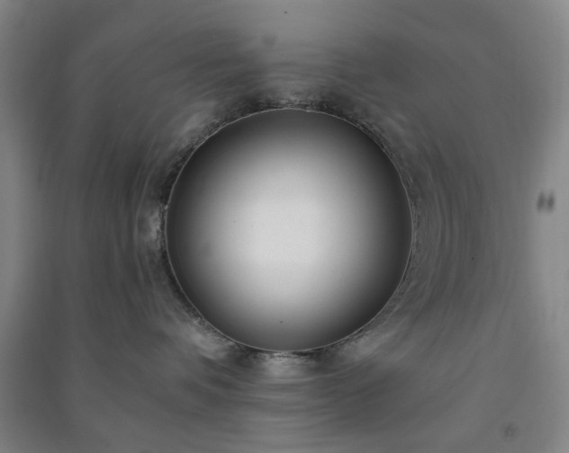 X0000091220336200708161701