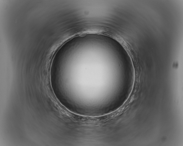 X0000091220337200708161701