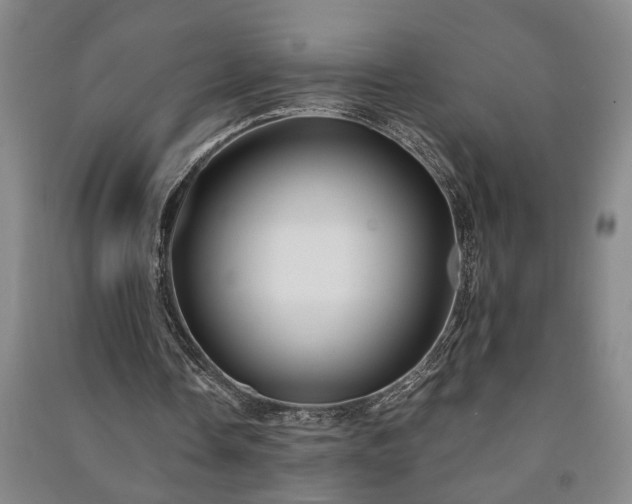 X0000091220338200708161701