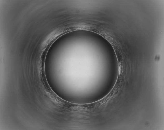 X0000091220339200708161701