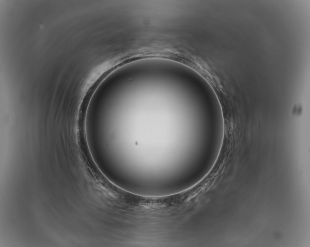 X0000091220340200708161701