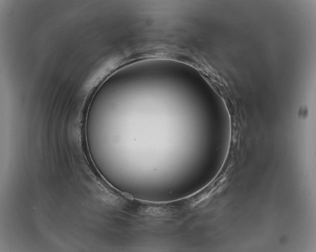 X0000091220341200708161701