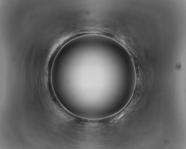 X0000091220342200708161701