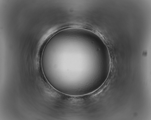 X0000091220343200708161701