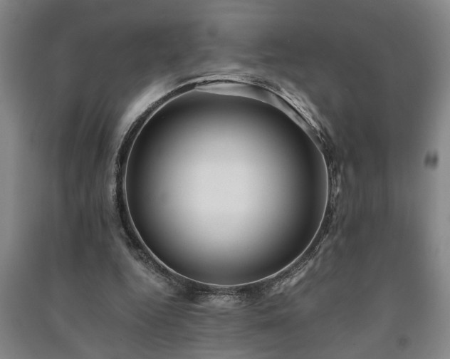 X0000091220344200708161701