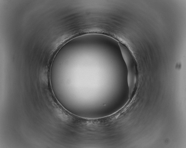 X0000091220345200708161701