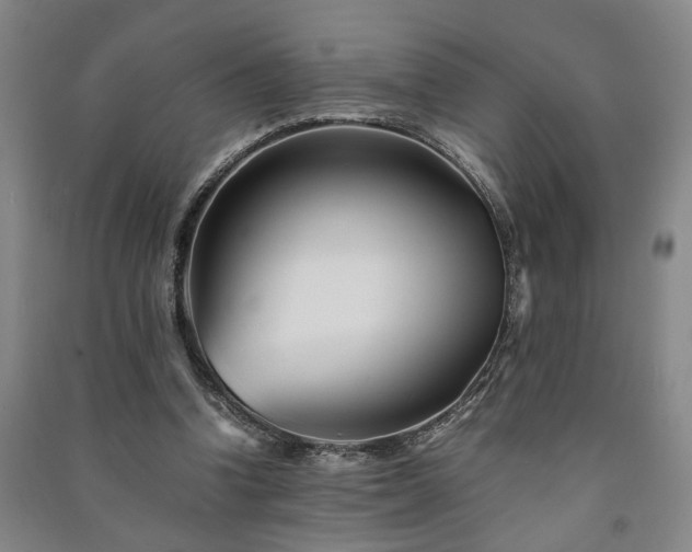 X0000091220346200708161701