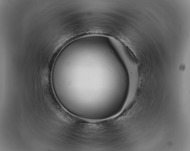 X0000091220347200708161701