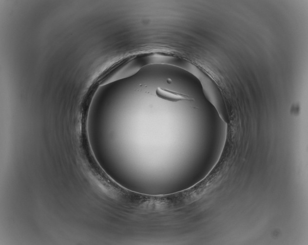 X0000091220350200708161701