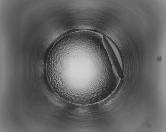 X0000091220351200708161701