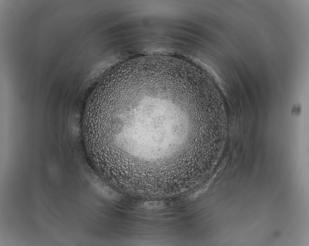 X0000091220353200708161701