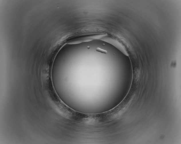 X0000091220356200708161701