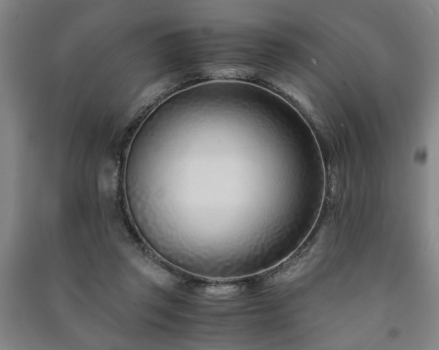 X0000091220357200708161701