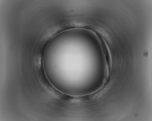 X0000091220358200708161701