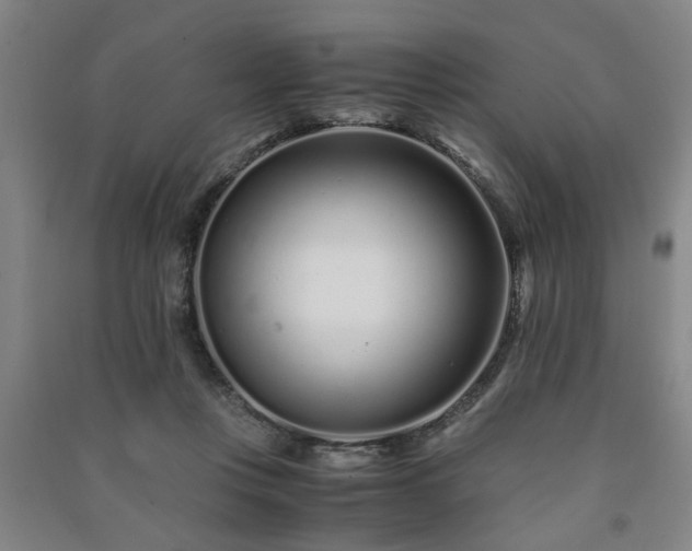 X0000091220359200708161701