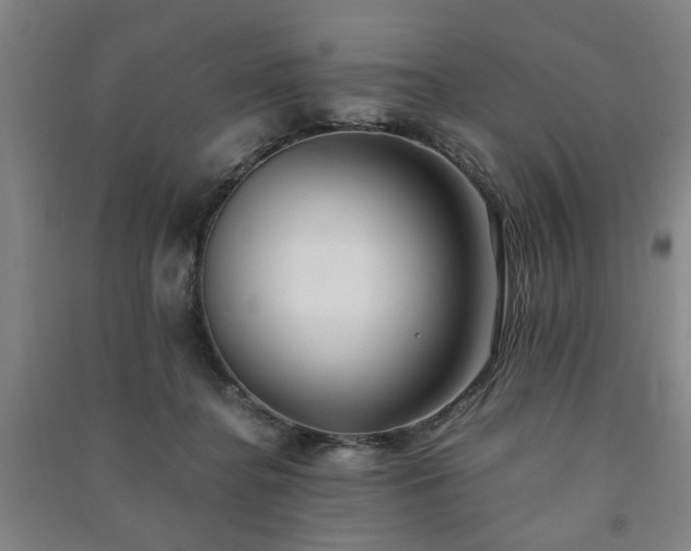 X0000091220364200708161701