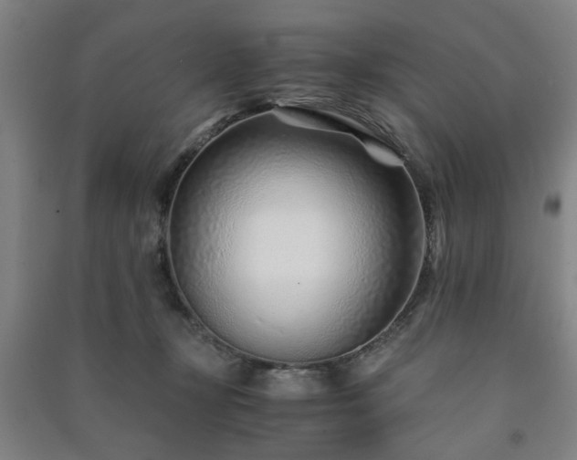 X0000091220367200708161701