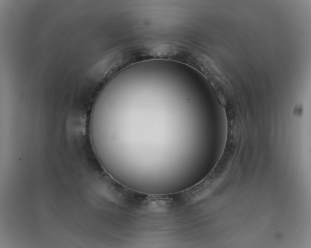 X0000091220368200708161701