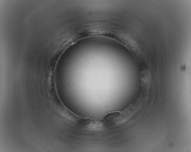 X0000091220369200708161701