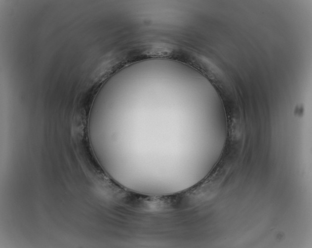 X0000091220370200708161701