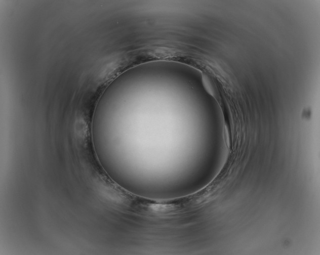 X0000091220371200708161701