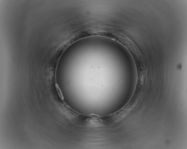 X0000091220372200708161701