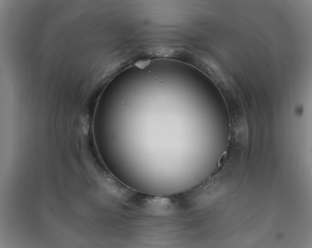 X0000091220374200708161701