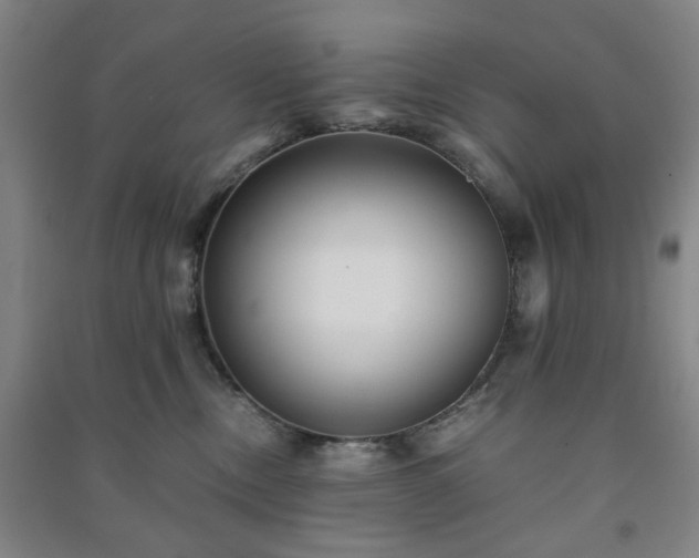 X0000091220378200708161701